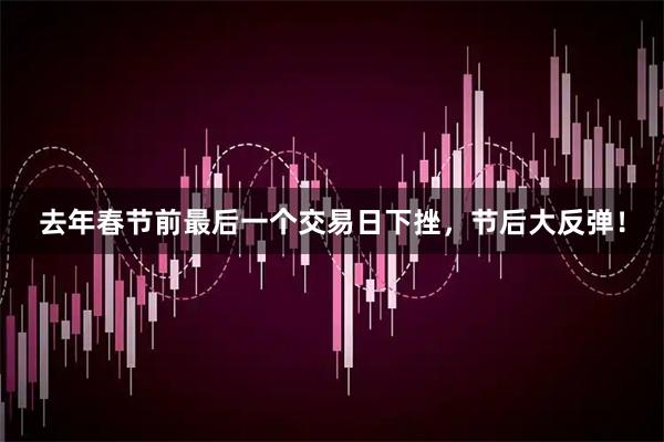去年春节前最后一个交易日下挫，节后大反弹！