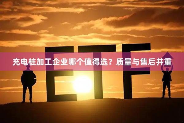 充电桩加工企业哪个值得选？质量与售后并重