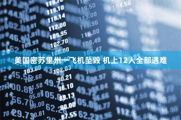 美国密苏里州一飞机坠毁 机上12人全部遇难