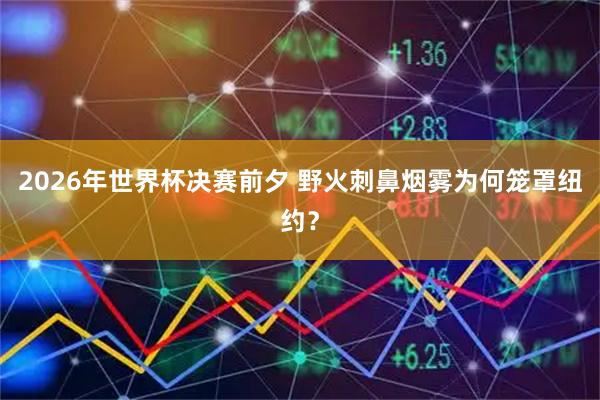 2026年世界杯决赛前夕 野火刺鼻烟雾为何笼罩纽约?